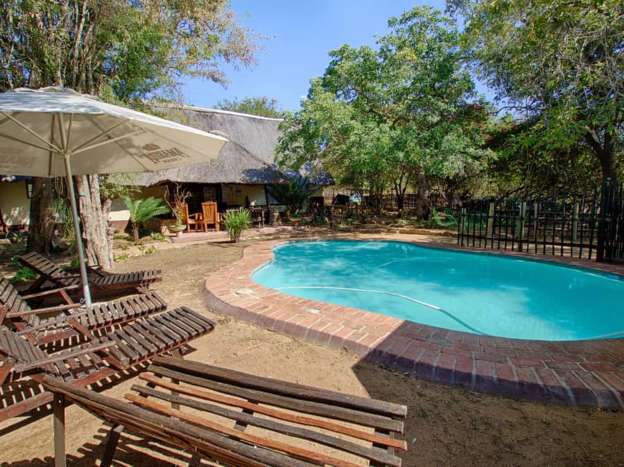 From Johannesburg: 3-Day Budget Tent Kruger Park Safari - Breakfast at Tremisana, then into Kruger