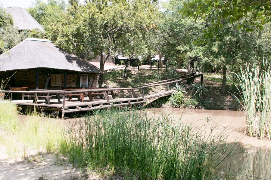 From Johannesburg: 3-Day Budget Tent Kruger Park Safari - Marc’s Camp and the early bush walk
