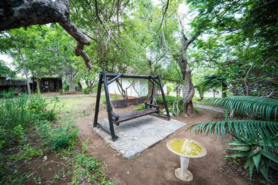 From Johannesburg: 6-Day Classic Kruger National Park Safari - Day 3: Full-day Kruger wildlife in open country