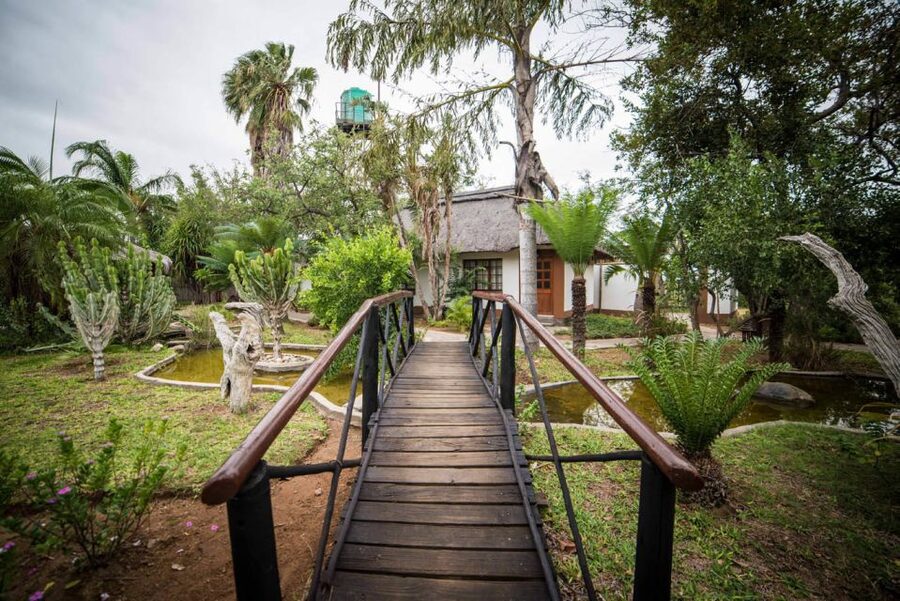 From Johannesburg: 6-Day Classic Kruger National Park Safari - Day 4: Moholoholo and an afternoon drive
