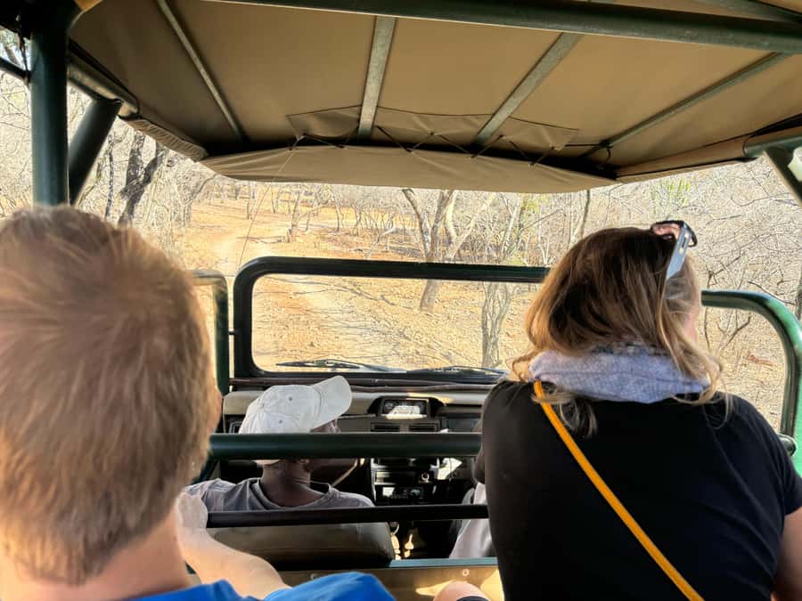 From Johannesburg: Cheetah Tour - Is the $202 price fair?