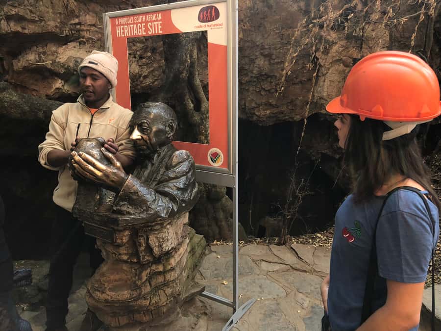 From Johannesburg: Cradle of Humankind and Lion Safari - Key points at a glance