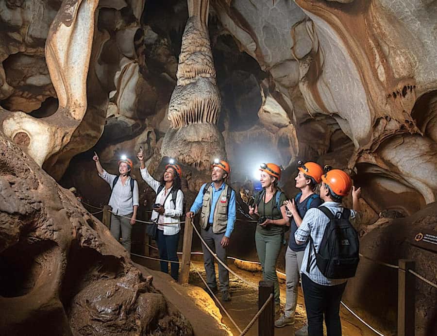 From Johannesburg: Cradle of Humankind and Lion Safari - Why this makes a strong Johannesburg day trip