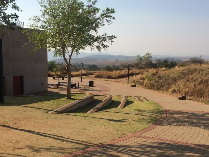 From Johannesburg: Cradle of Humankind and Lion Safari - Who should book this day