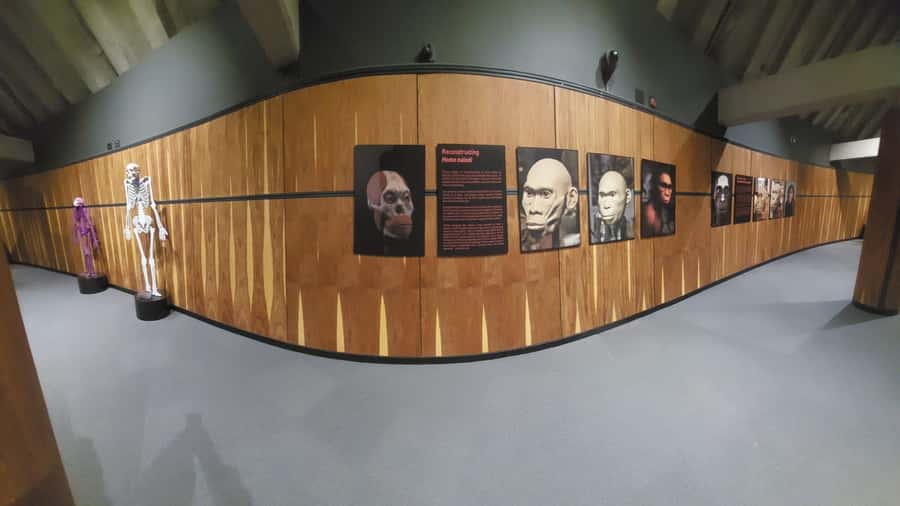 From Johannesburg: Cradle of Humankind Private Half-Day Tour - Why the Cradle of Humankind matters