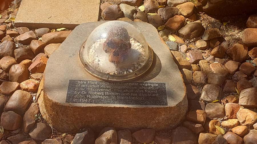 From Johannesburg: Cradle of Humankind Private Half-Day Tour - Maropeng Visitor Centre and the human story