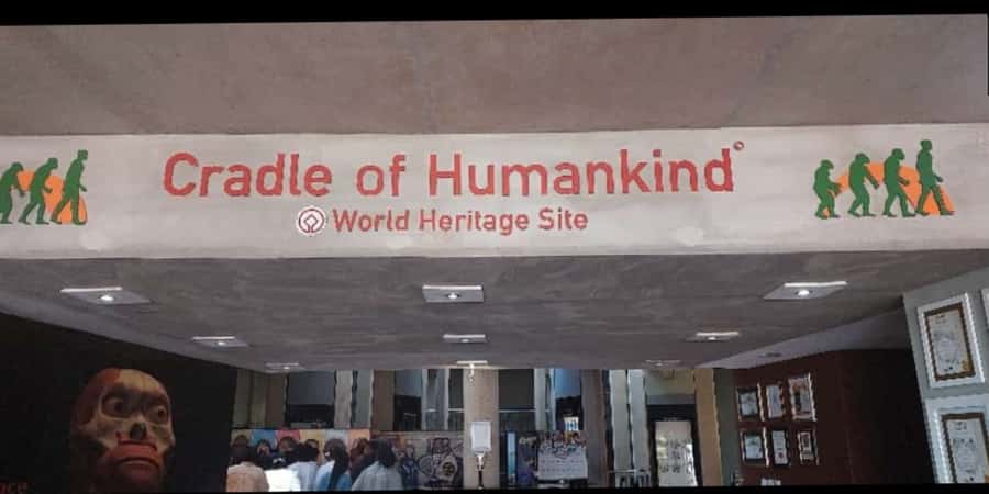 From Johannesburg: Cradle of Humankind Private Half-Day Tour - Door-to-door travel from Johannesburg