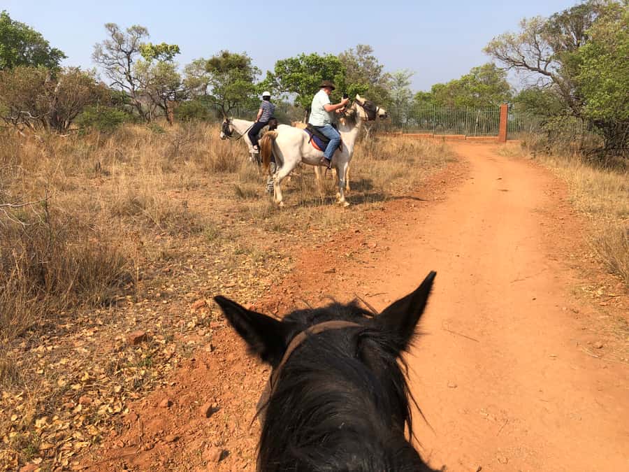 From Johannesburg: Horse-Riding Safari and Cable Car Tour - My verdict: book it if the horse ride is your priority