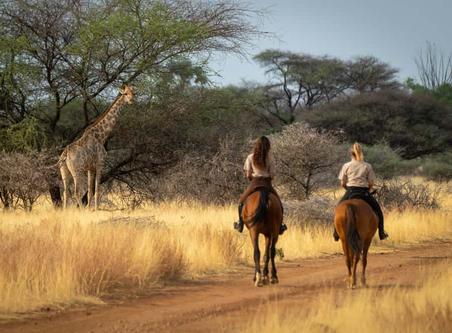 From Johannesburg: Horse-Riding Safari and Cable Car Tour - The two-hour horse safari