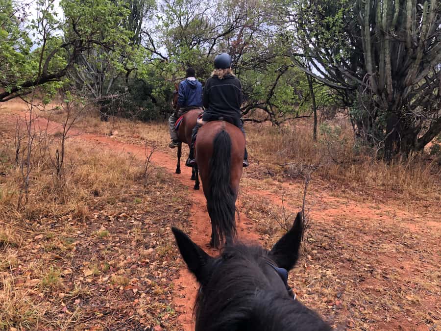 From Johannesburg: Horse-Riding Safari and Cable Car Tour - Is the $242 price good value?
