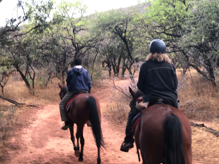 From Johannesburg: Horse-Riding Safari and Cable Car Tour - Who will enjoy this day most?