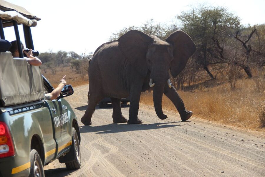 From Johannesburg: Kruger National Park 5-Day Luxury Safari - Day 2: Walking beside the Olifants River