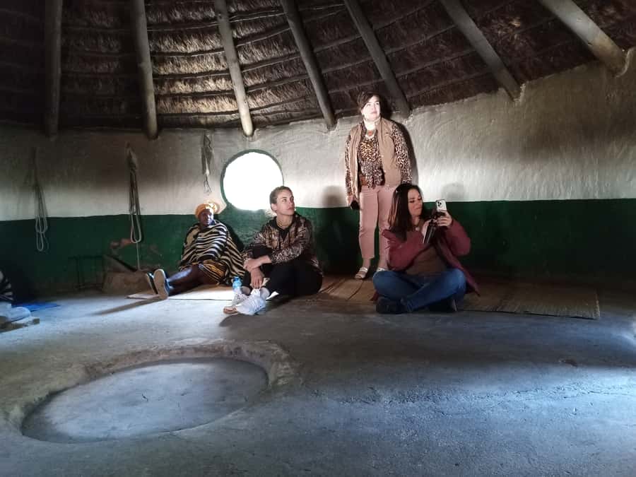From Johannesburg: Lesedi Cultural Village & Lion Park Tour - Key points at a glance