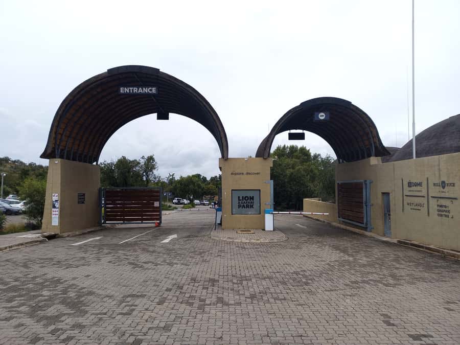 From Johannesburg: Lesedi Cultural Village & Lion Park Tour - Lesedi Cultural Village: music, language, and living traditions
