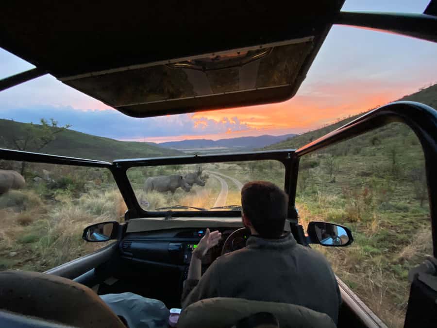 From Johannesburg: Pilanesberg Nature Reserve Game Safari - Key points at a glance