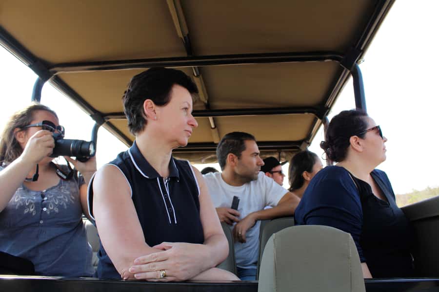 From Johannesburg: Pilanesberg Nature Reserve Game Safari - Afternoon drive: warmer, brighter, and often different