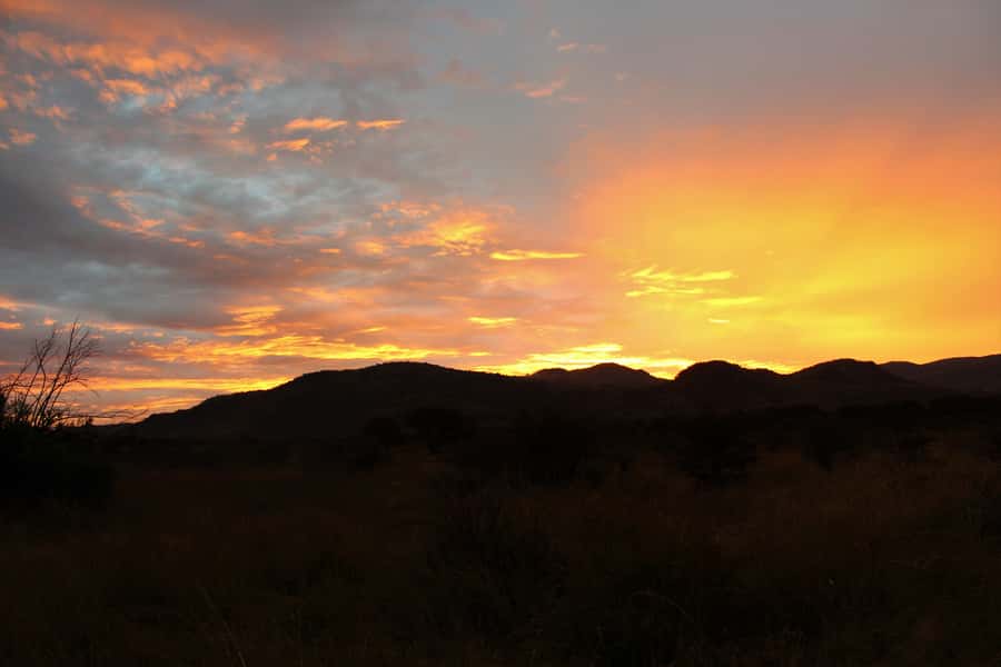From Johannesburg: Pilanesberg Nature Reserve Game Safari - What the open vehicle is really like