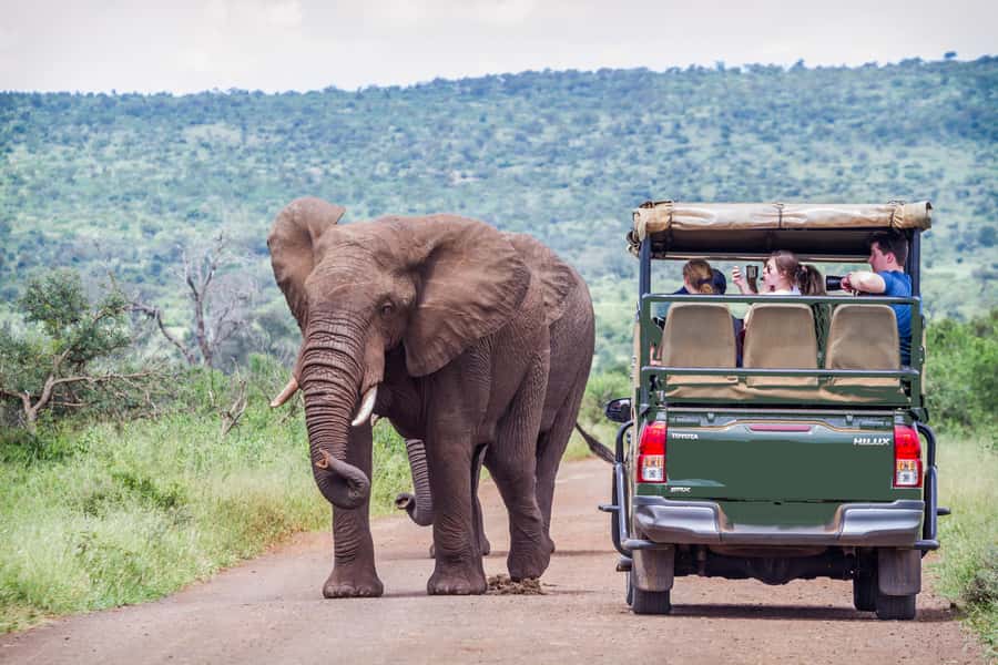 From Johannesburg: Pilanesberg Wildlife Safari - Key points to know before booking
