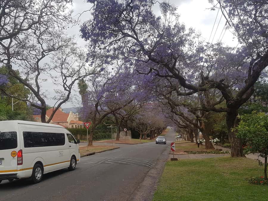 From Johannesburg: Pretoria Half Day Tour - Union Buildings and the limits of weekend access