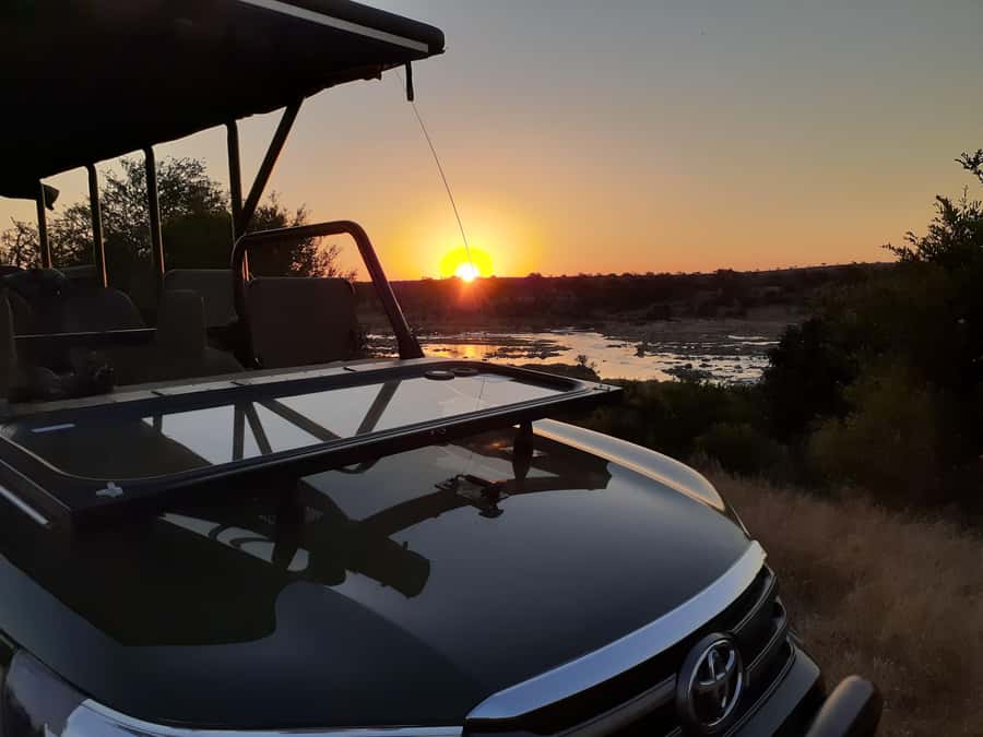 From Malelane: Half Day Kruger Park Wildlife Safari - Key points at a glance