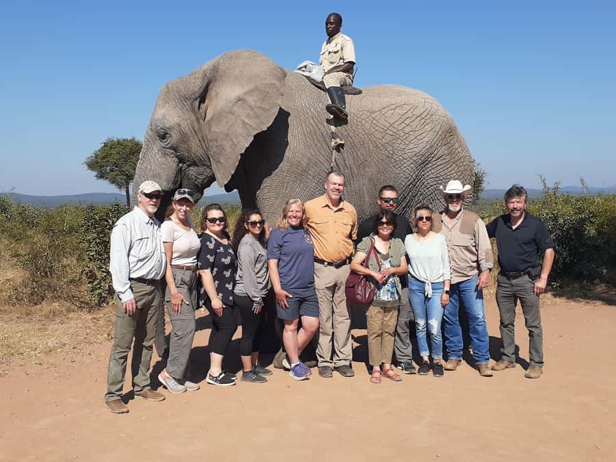From Malelane: Half Day Kruger Park Wildlife Safari - Why the 05:00 start matters in Kruger