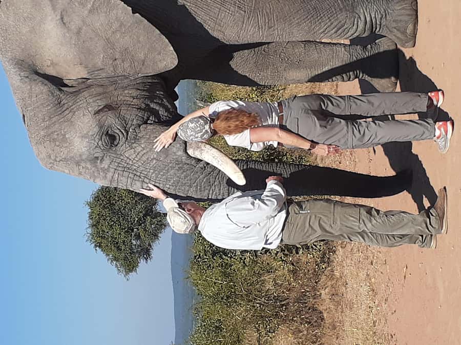 From Malelane: Kruger National Park Full-Day Safari - Afternoon viewing and the return to Malelane