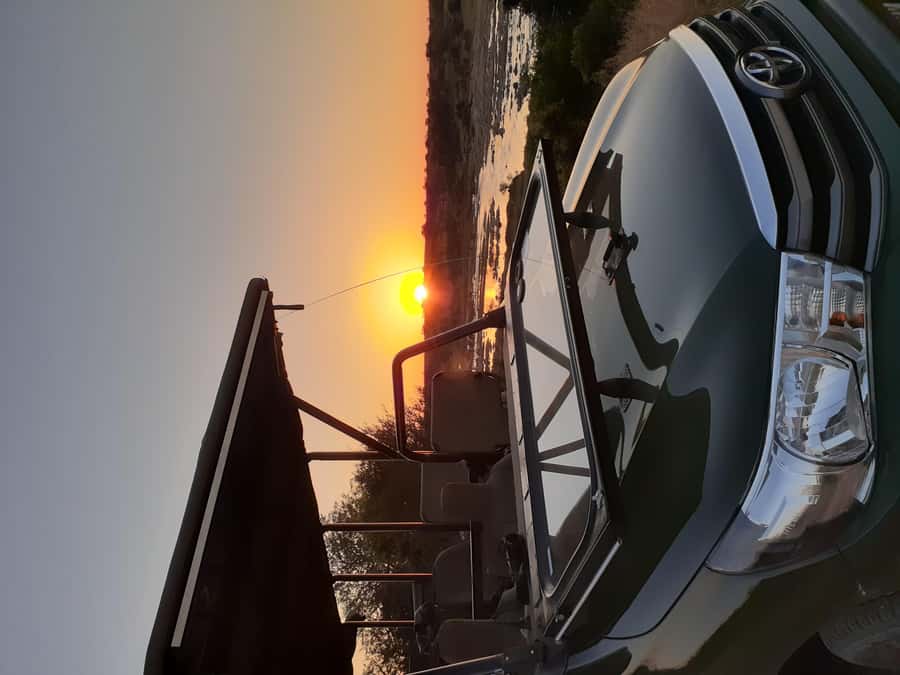 From Malelane: Kruger National Park Full-Day Safari - Guide quality is the main strength