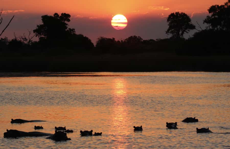 From Marloth Park: Sunset River Cruise Safari - What the three-hour route feels like