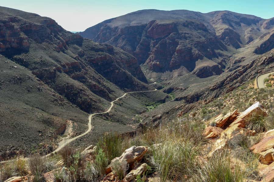 From Oudtshoorn: Full-Day Private Swartberg Mountain Tour - Fynbos, proteas, and small mountain wildlife