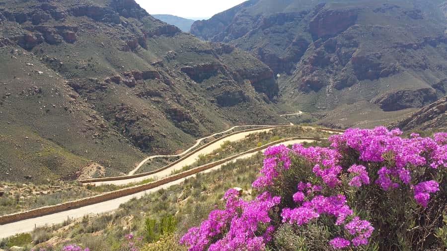 From Oudtshoorn: Full-Day Private Swartberg Mountain Tour - Die Top and the Great Karoo panorama