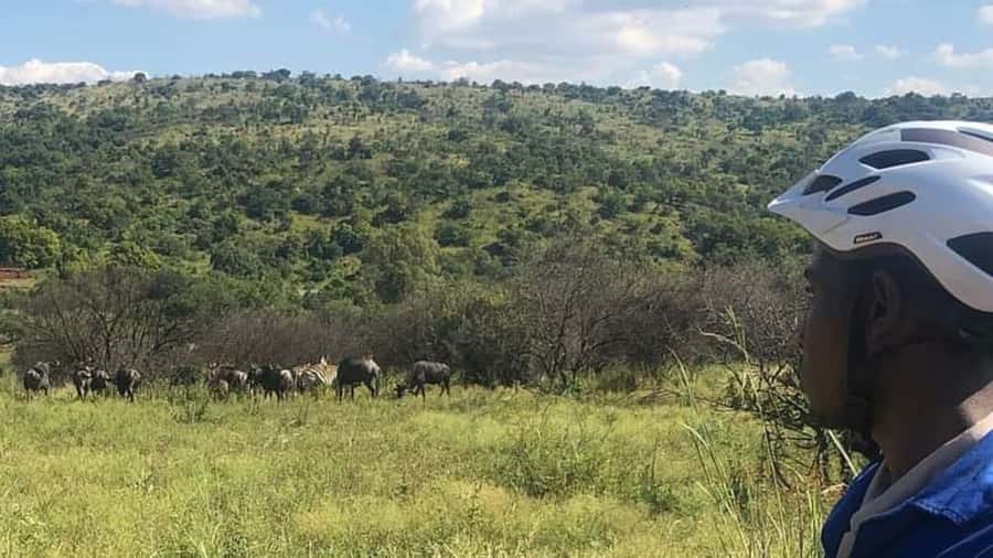 From Pretoria: E-Bike in the wild with game near Jo'burg - Watching for giraffes, zebras, ostriches, and buck