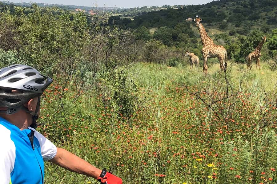 From Pretoria: E-Bike in the wild with game near Jo'burg - The South African treats after the ride