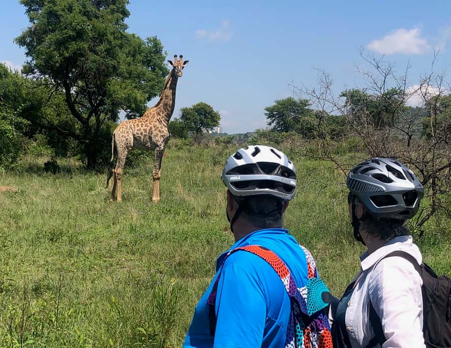 From Pretoria: E-Bike in the wild with game near Jo'burg - Who will enjoy this ride most