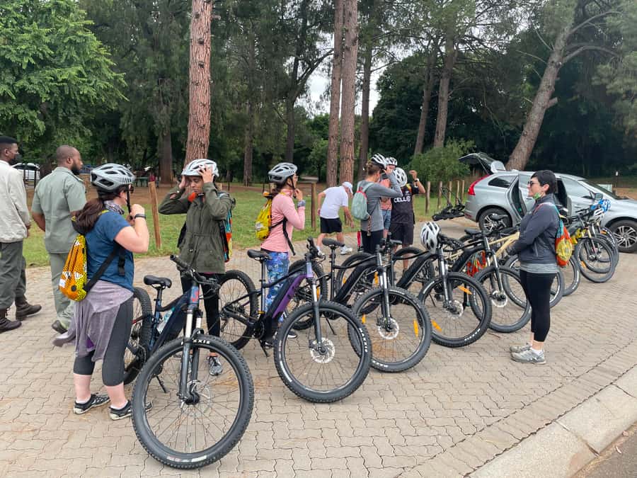 From Pretoria: E-Bike in the wild with game near Jo'burg - Should you book this Groenkloof e-bike tour?