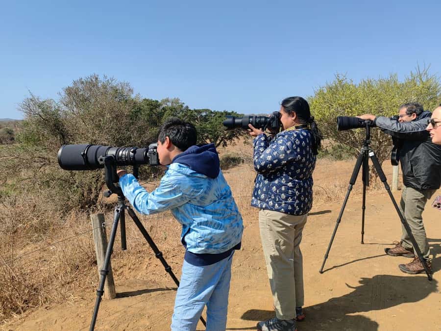 From St Lucia: Big 5 Safari in the Hluhluwe-Imfolozi Park - Why Hluhluwe iMfolozi makes a strong safari day