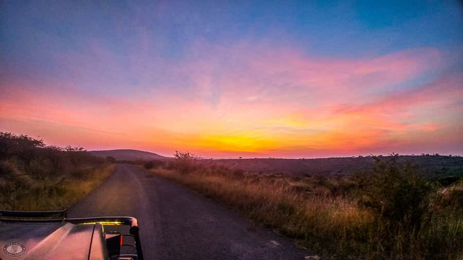 From St Lucia: iSimangaliso Sunset Safari - Key points to know before you book