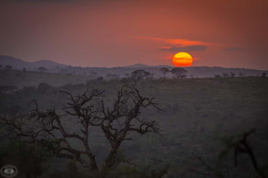 From St Lucia: iSimangaliso Sunset Safari - Is $39 a good value?