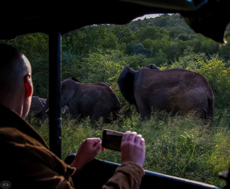 From St Lucia: iSimangaliso Wetland Park Night Drive Safari - Setting Out From St Lucia After Dark
