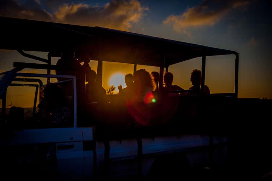 From St Lucia: iSimangaliso Wetland Park Night Drive Safari - Why the Guide Makes or Breaks the Drive