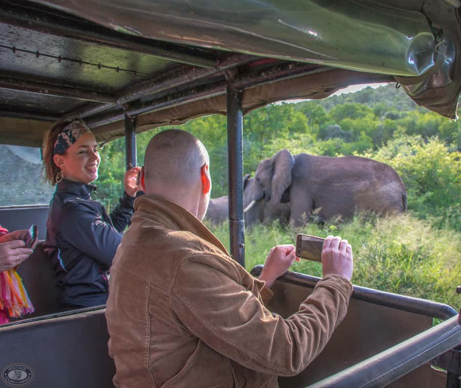 From St Lucia: iSimangaliso Wetland Park Night Drive Safari - Is $46 a Fair Price?