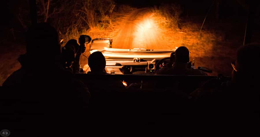From St Lucia: iSimangaliso Wetland Park Night Drive Safari - Hippos, Crocodiles, and Nighttime Water
