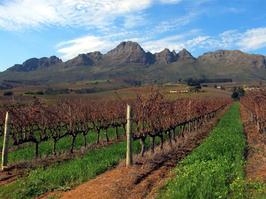 From Stellenbosch: Hop-On Hop-Off Wine Tour Southern Route - Key points at a glance