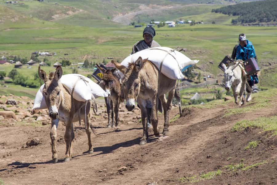 From Underberg: Extended Lesotho Day Tour - 9.5hrs - A Basotho homestead, fresh bread, and blankets