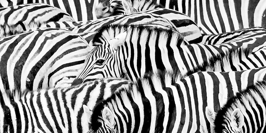 Full Day Aquila Safari (German) - Who will enjoy this Aquila day trip?