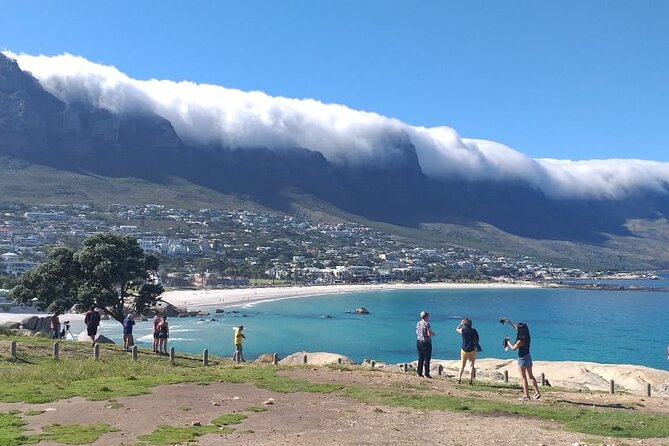FULL Day Cape of Good Hope and Boulders Penguin Colony - Why this route works for a single day