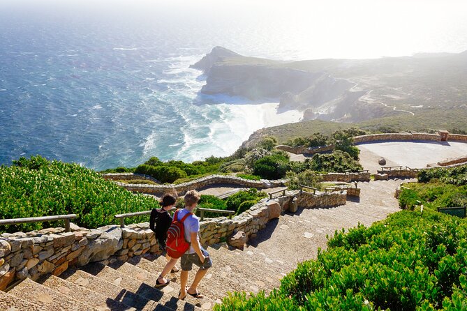 Full Day Cape Peninsula Tour - Hout Bay and Chapman’s Peak Drive