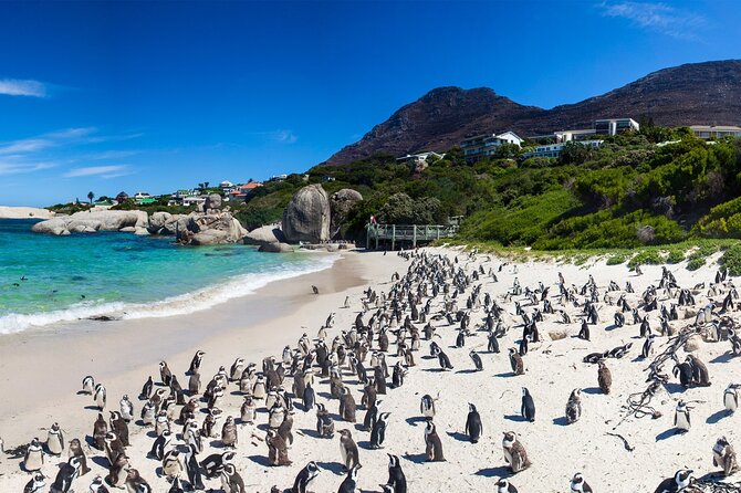 Full Day Cape Peninsula Tour - The False Bay coastal road back to Cape Town