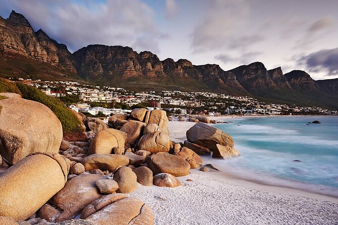 Full Day Cape Peninsula Tour - Guides, group size, and the feel of the day