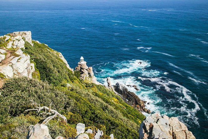 Full-Day Cape Peninsula Tour from Cape Town - Who will get the most from this day