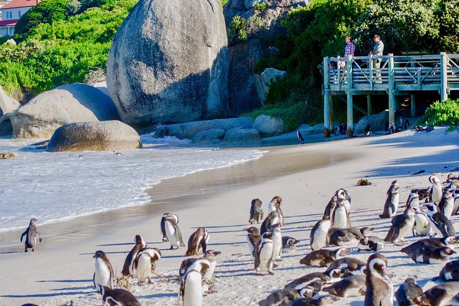 Full Day Cape Point Sightseeing Tour - The old lighthouse gives you the classic Cape Point view